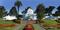 Conservatory of Flowers